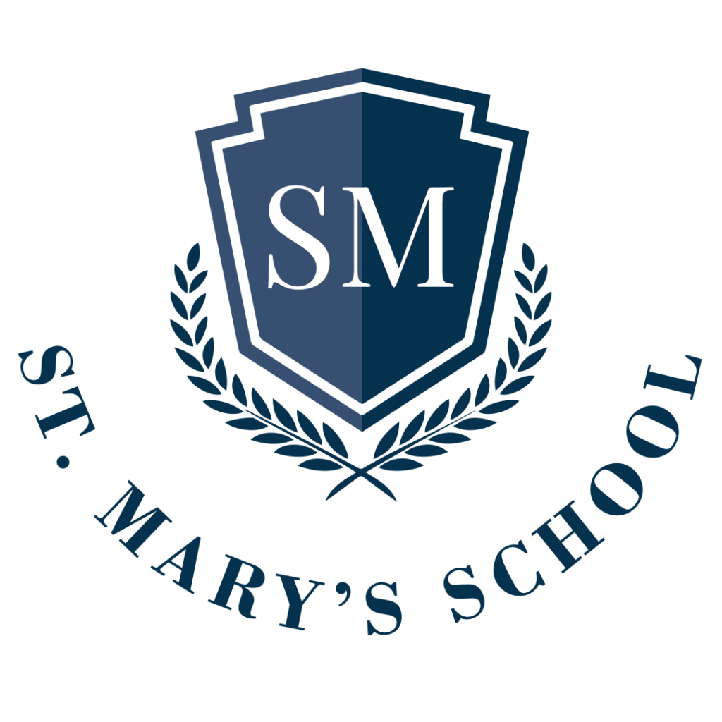 Logo St Azul 1024x1024